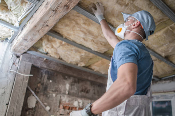 Best DIY Insulation Kits and Guidance in Shawneeland, VA