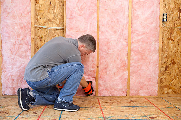 Best Cellulose Insulation in Shawneeland, VA