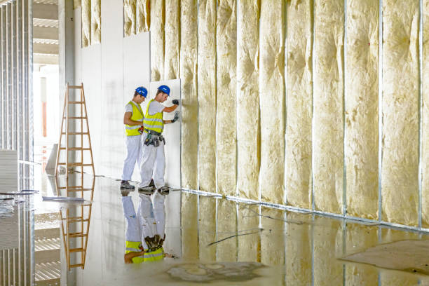Best Geographic-Specific Insulation Services in Shawneeland, VA